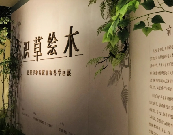 抓住暑假的尾巴，帶孩子感受博物館藝術(shù)的“光合作用”！