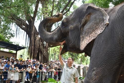 五一假期首日，深圳野生動(dòng)物園動(dòng)物科普講解吸引游客